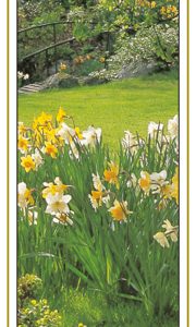 Daffodil Garden - Image 2
