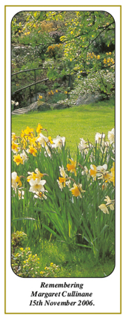 Daffodil Garden