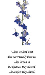 Forget Me Not - Image 2