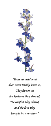Forget Me Not