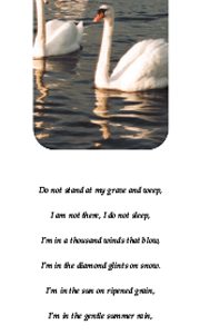Bookmark Card