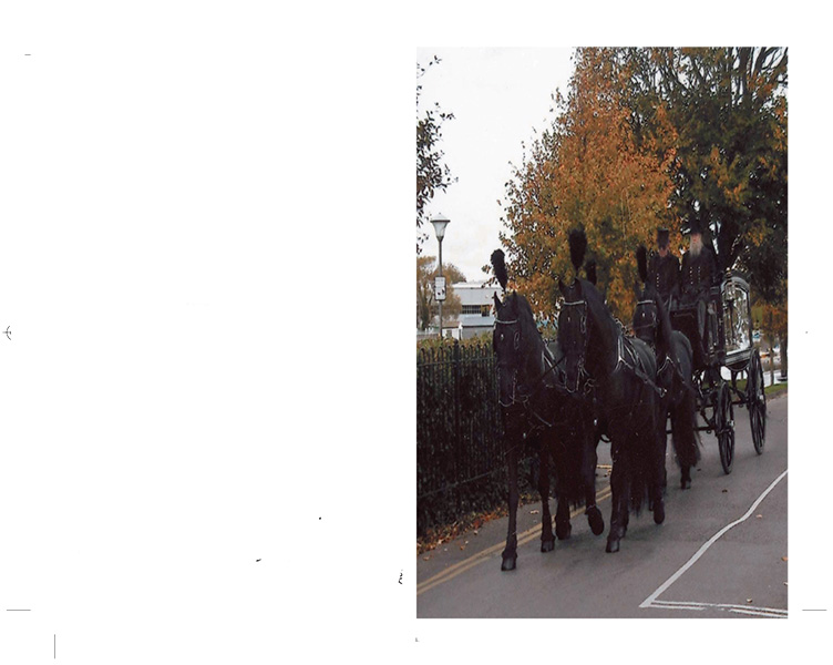 Horse Drawn Carriage